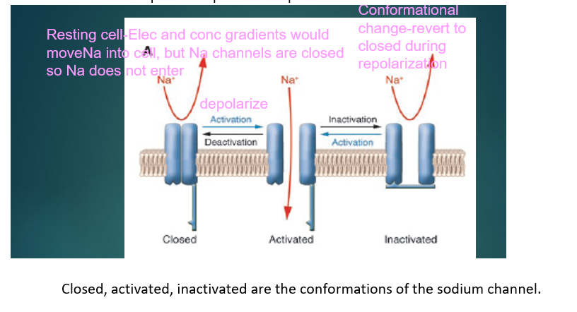 Graphic 2